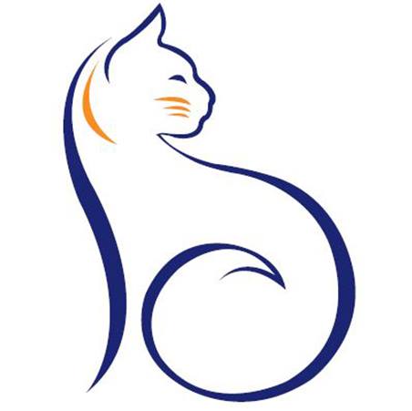 The absoultely stunning Hero came in... - Perth Cat Hospital | Facebook