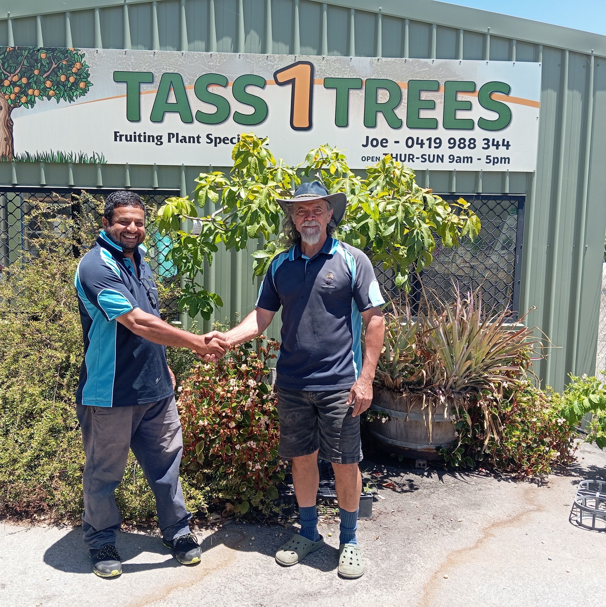Tass1 Trees | Middle Swan WA