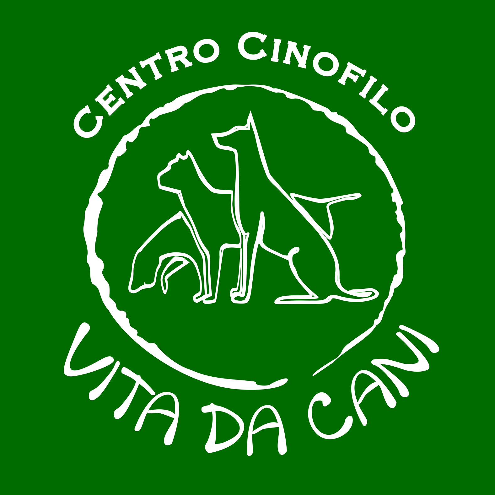 Trofeo Veneto Agility Dog | Facebook