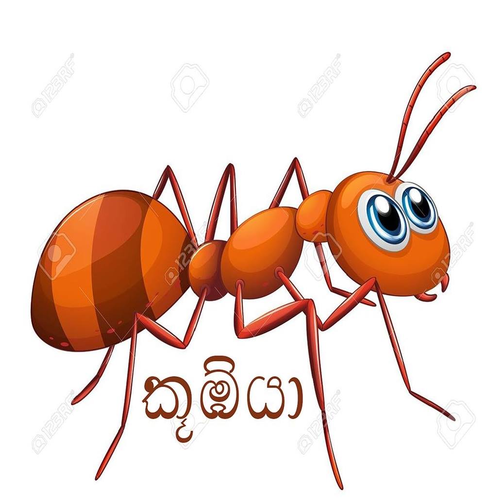Koobiya