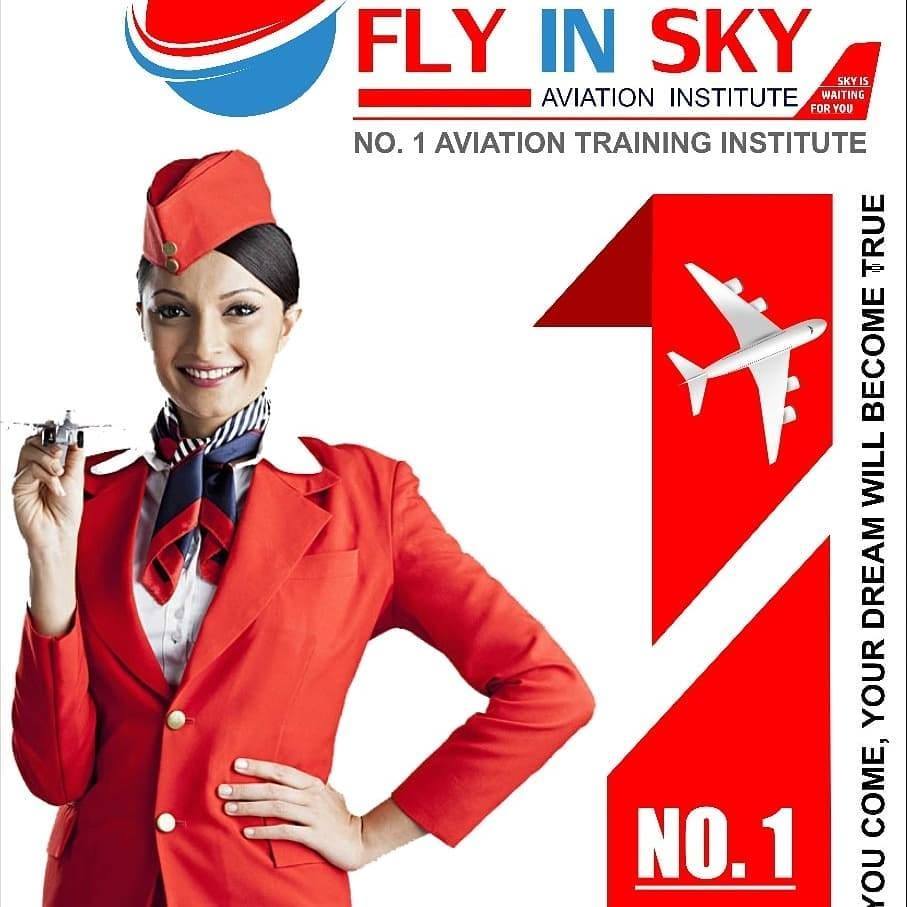 Flyinsky Aviation - #Flyinsky aviation institute. We provide training ...