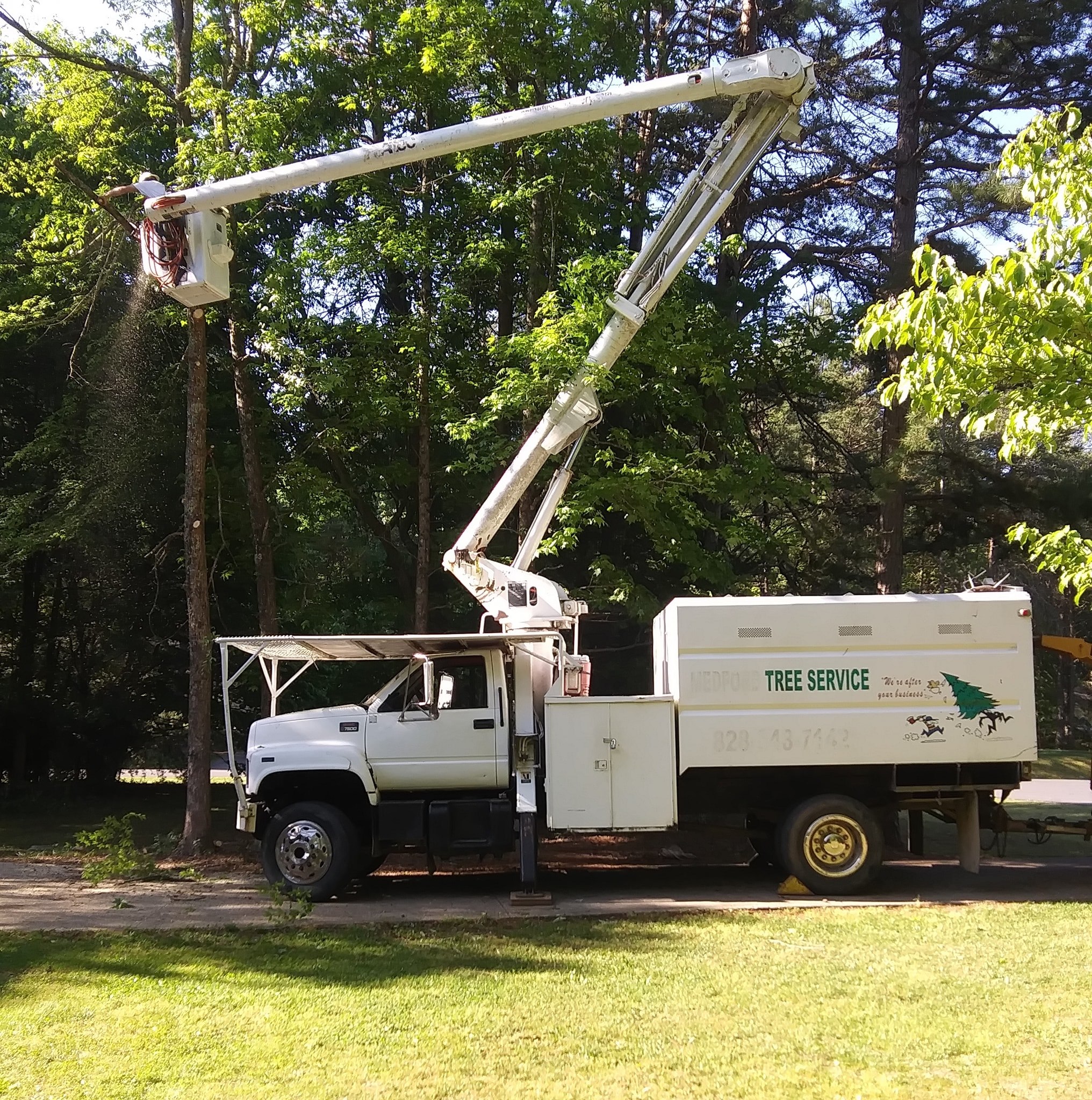 Action Tree Service | Graham NC
