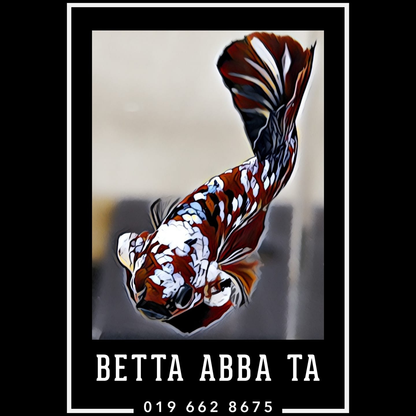 Betta Abba Ta | Ipoh