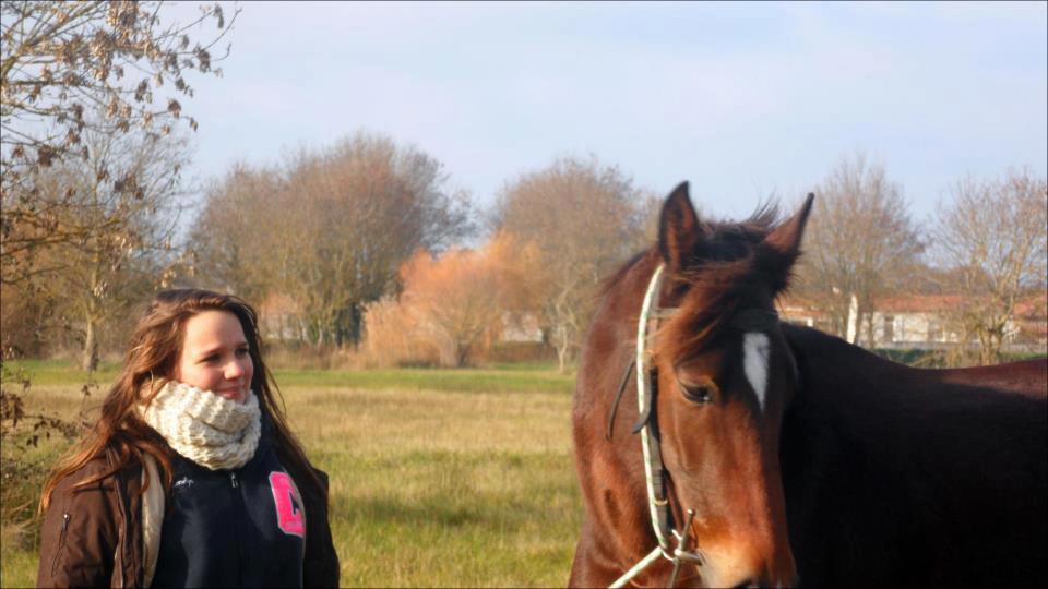 L'air du paradis, souffle entre les oreilles du cheval.