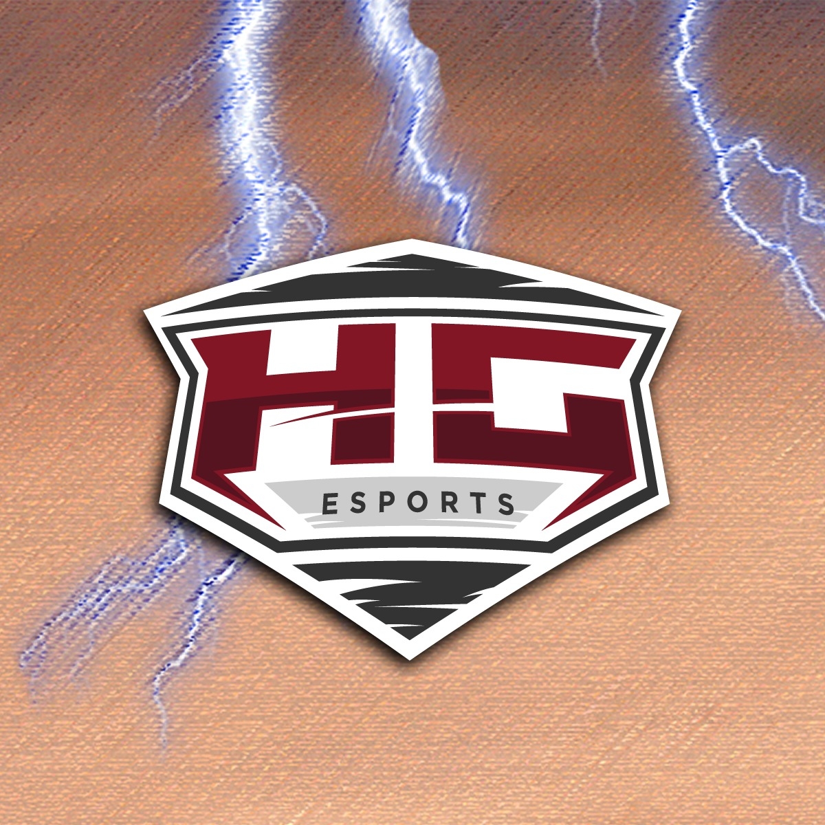 HG Esports - Con grande orgoglio annunciamo oggi l'affacciamento di ...