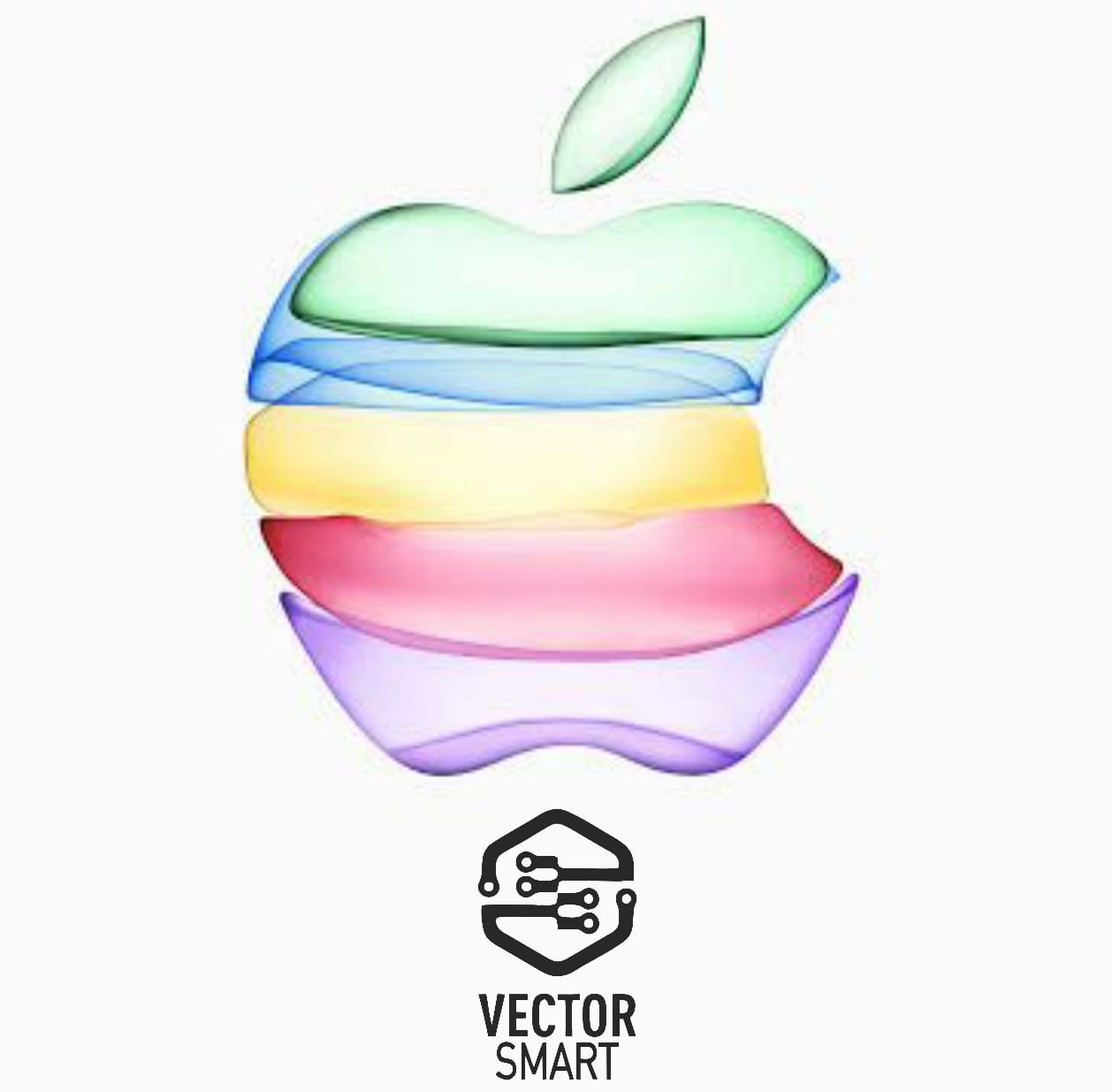 Vector Smart