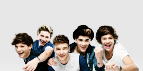 Everyone loves One Direction - Brasil