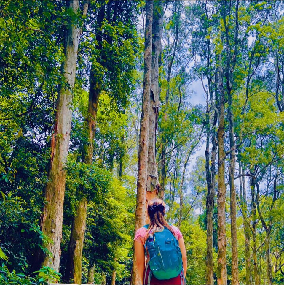 Make your life meaningful 🍃 #followerseveryone #Naturesescapade # ...