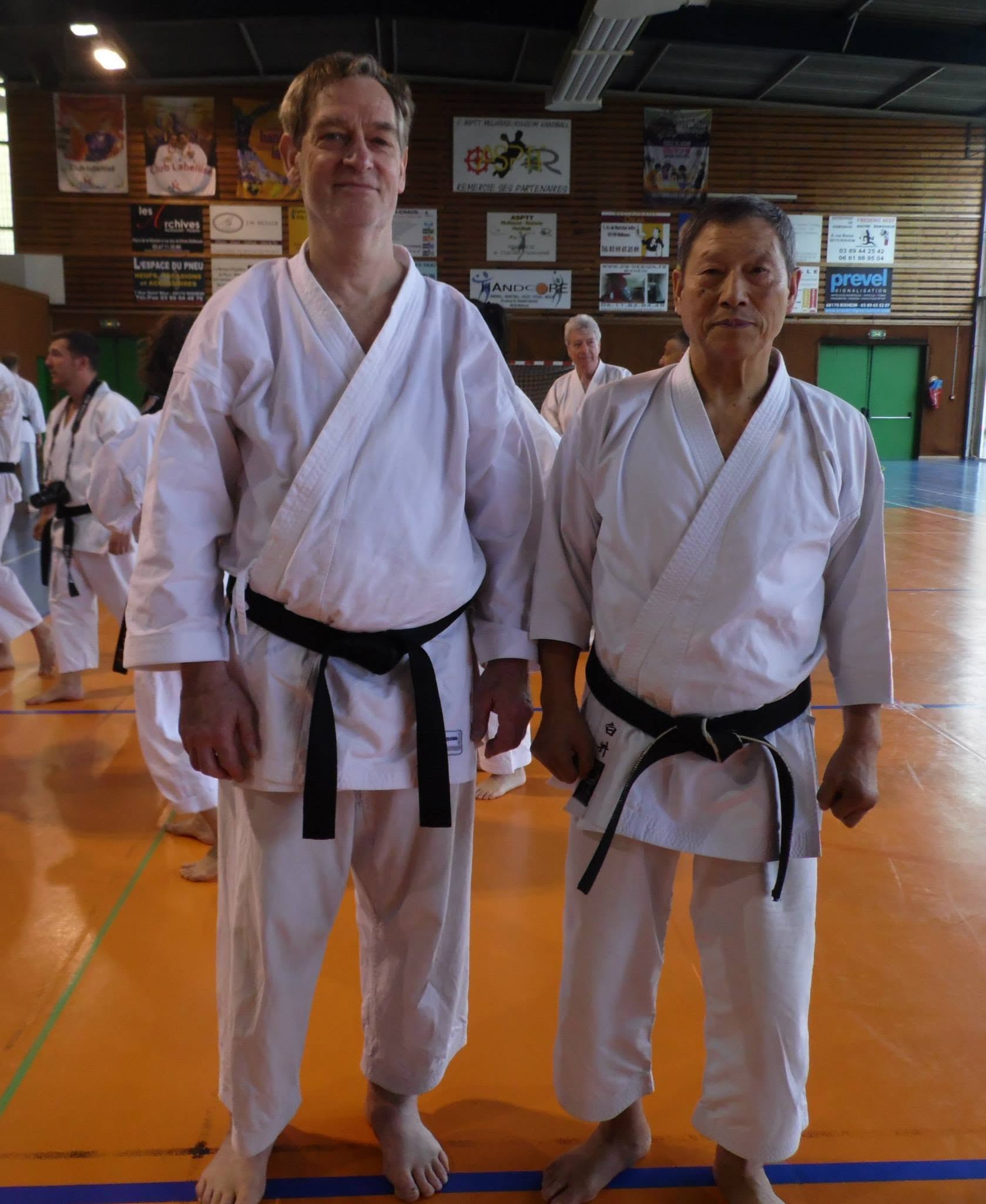 Anshin Wado-Ryu Karate Mestre | Mestre