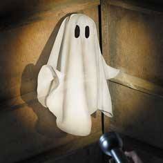The Appalachian Ghost Hunting Society