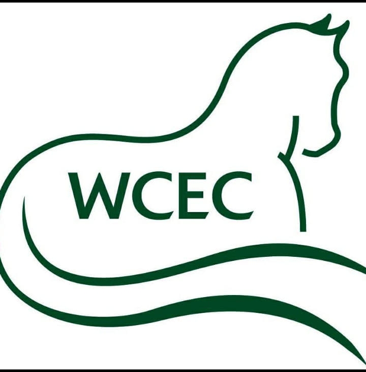 Congratulations to Karen... - The Victorian Dressage Festival | Facebook