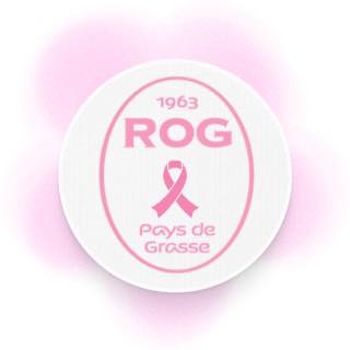 Rugby - 🔴🔵 INFOS JEUNES 🔴🔵 Samedi 18 Août les U16 ont organisé une ...