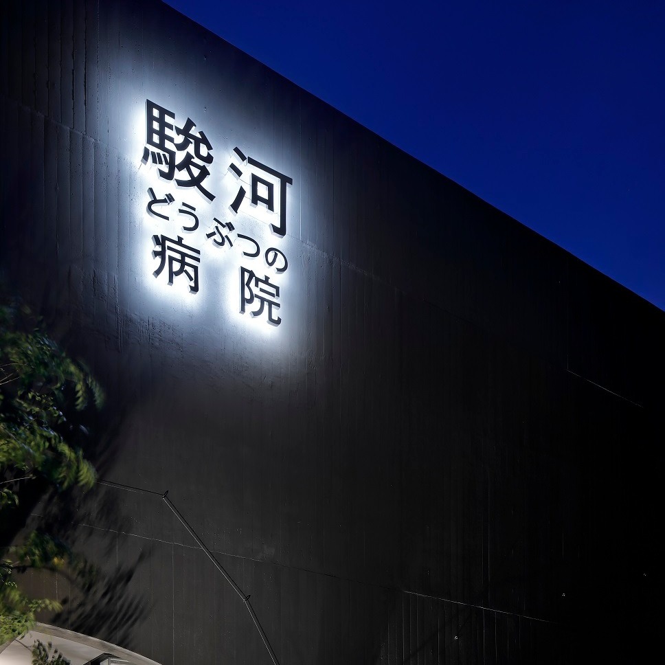 駿河 どうぶつ の 病院