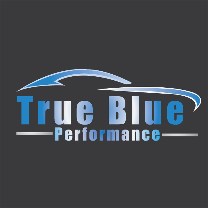 True Blue Performance | Tampa FL