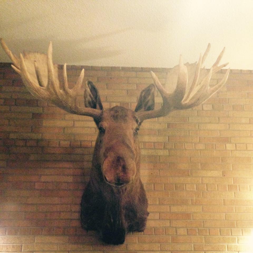 The Moose Lodge Crosby ND