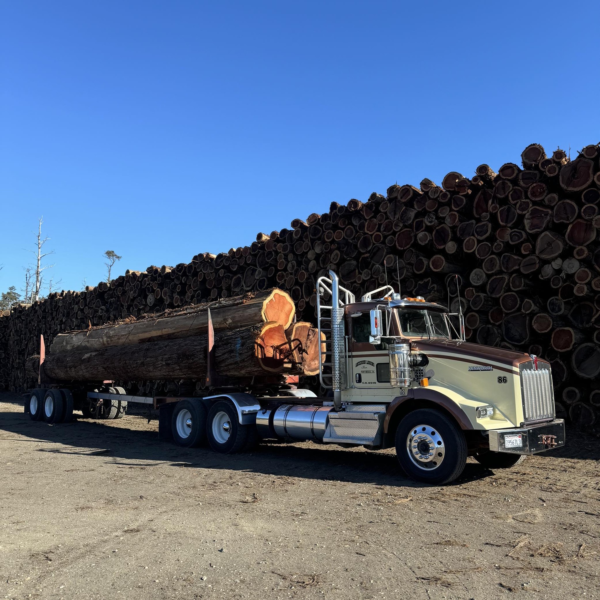 Anderson Logging Inc | Fort Bragg CA