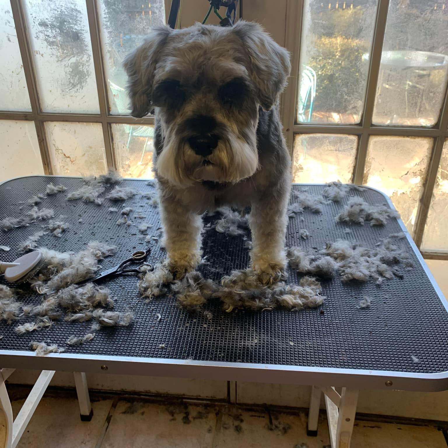 Ruff Cuts