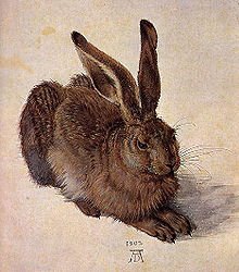 Tinners' Rabbit Picture Framing