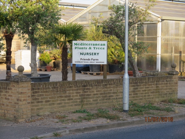 Roman Village
