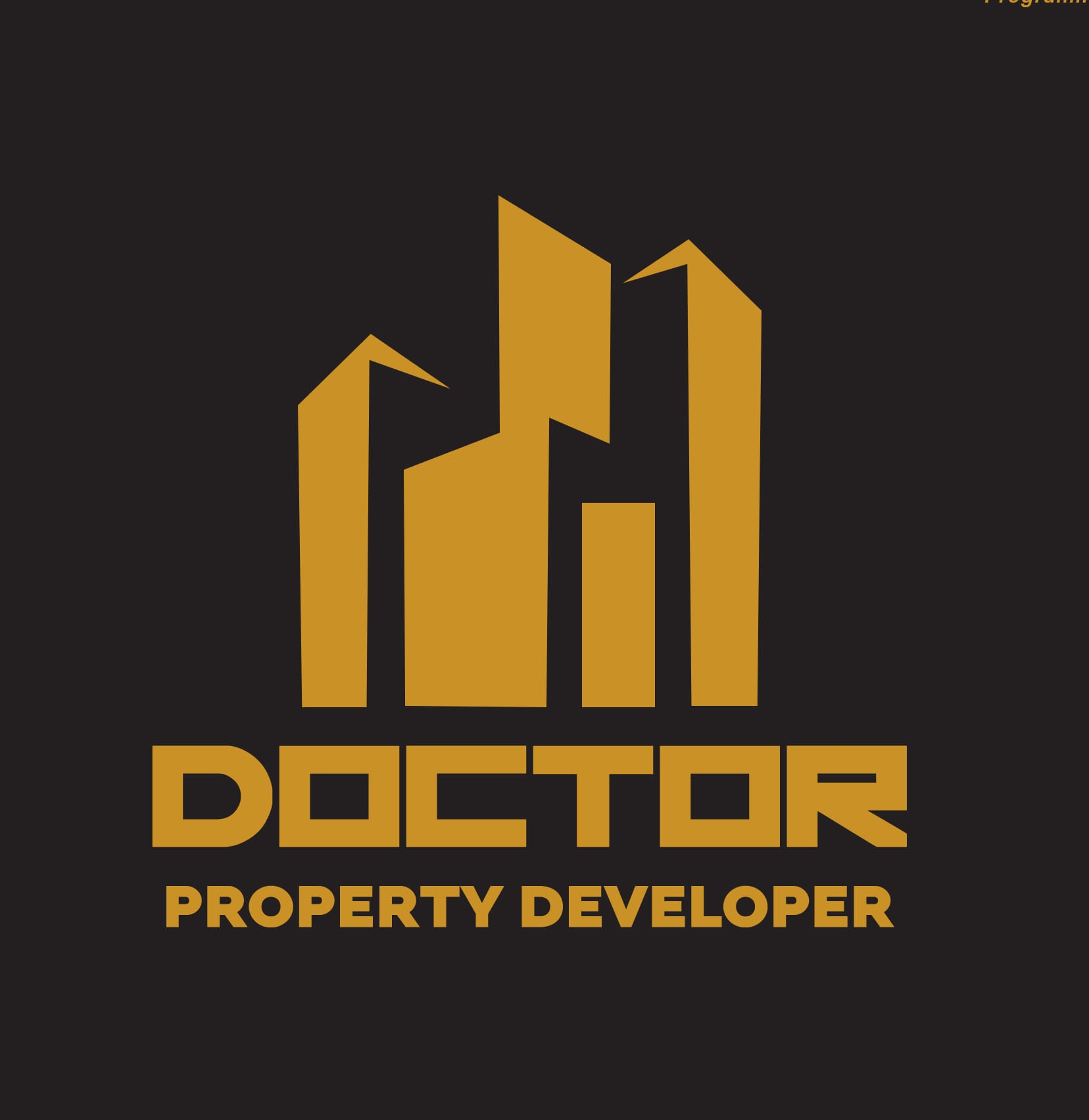 Doctor Proprty Developer | Peshawar