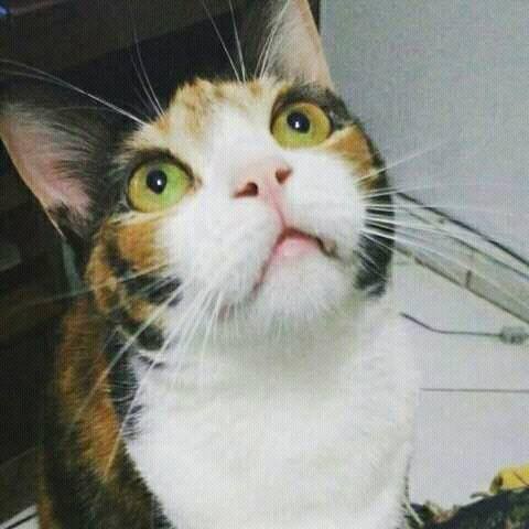 Ah sim, entendi