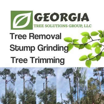 Georgia Tree Solutions | Savannah GA