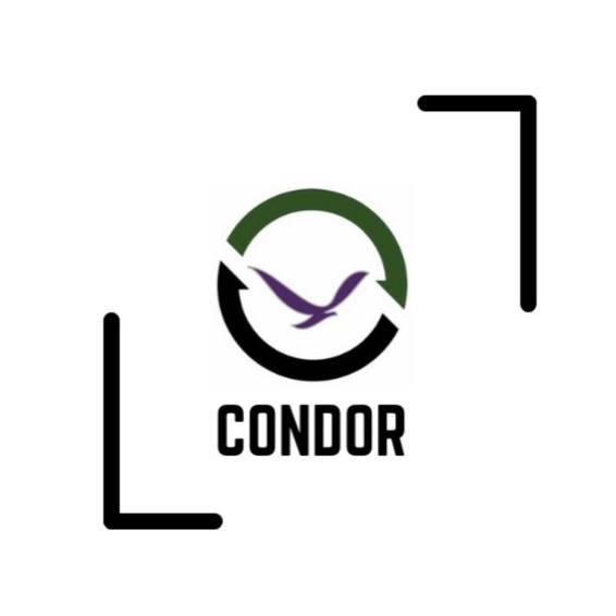 Condor Construction Inc