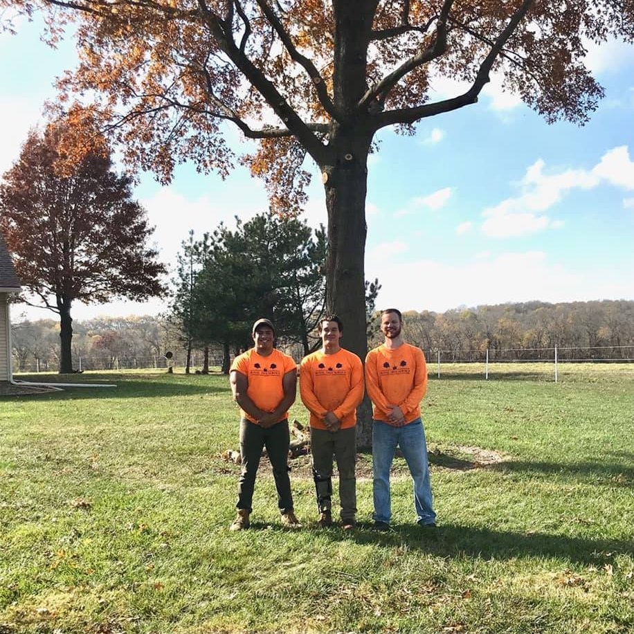 Royal Tree Service kc | Lees Summit MO