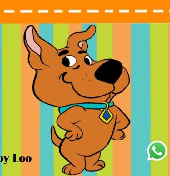 Pet shop Scooby Loo | Imbé RS