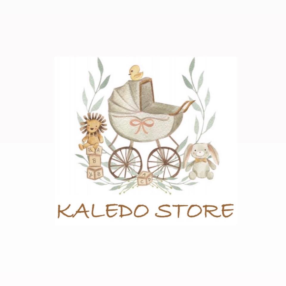 Kaledo Store | Rosignano Marittimo