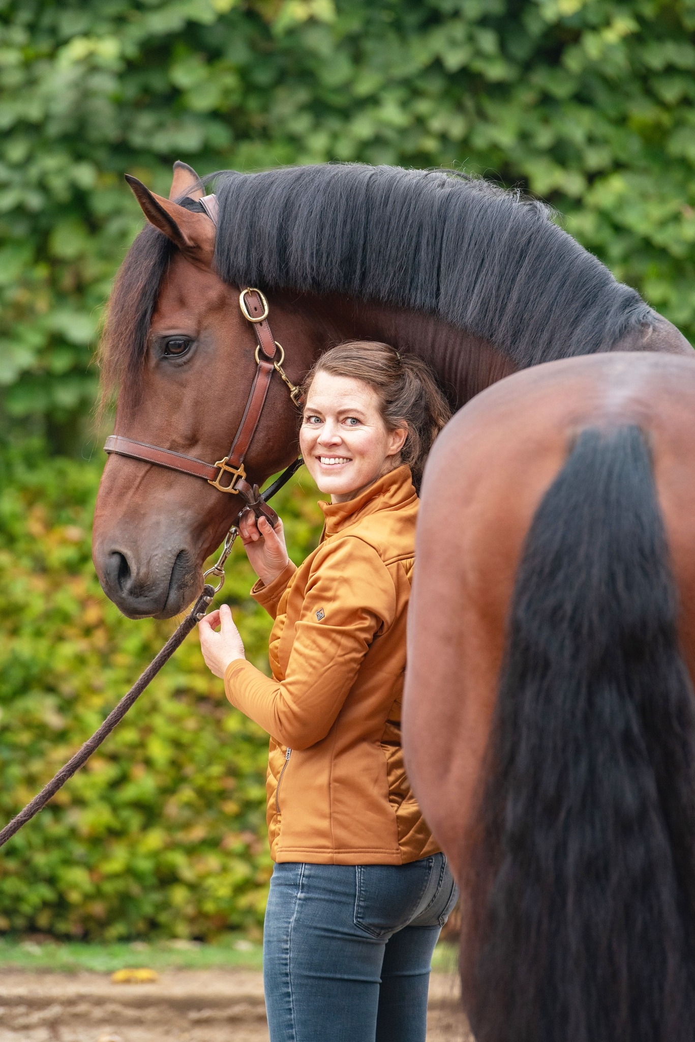 Sport Horse Manager