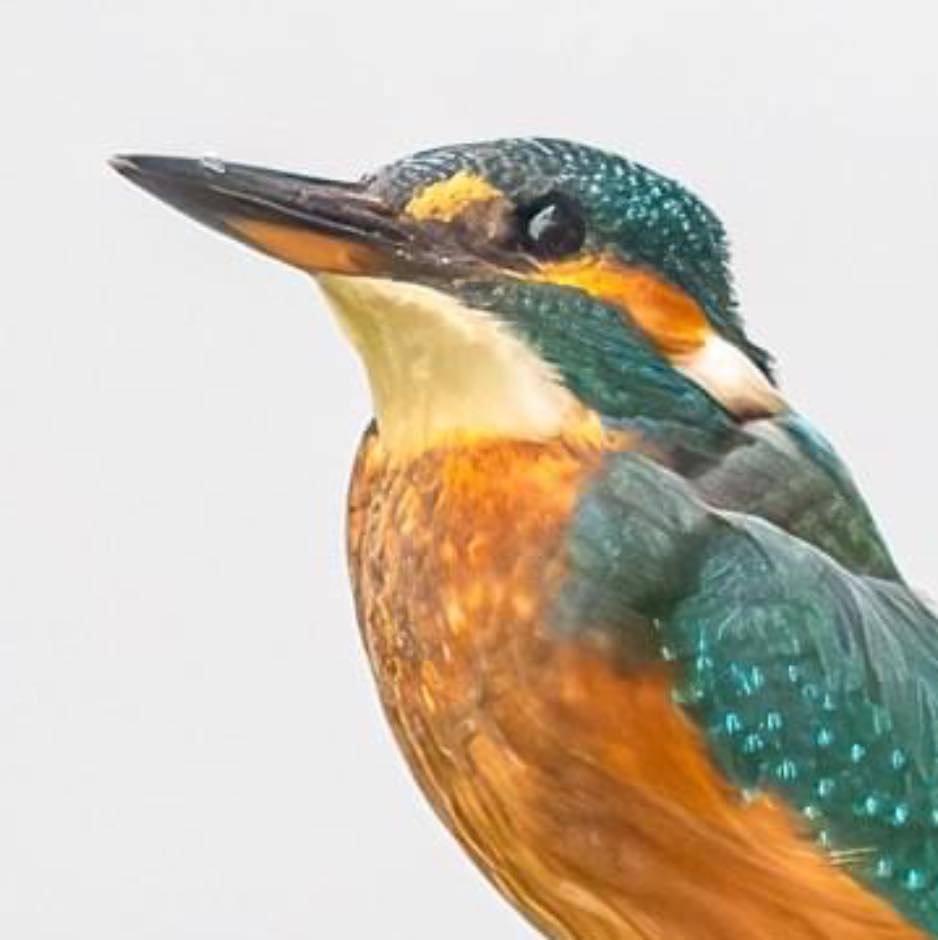 Jan de Roo Fotografie