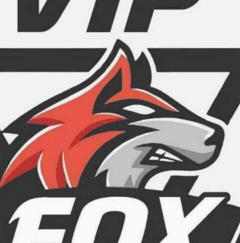 Segurity vip fox