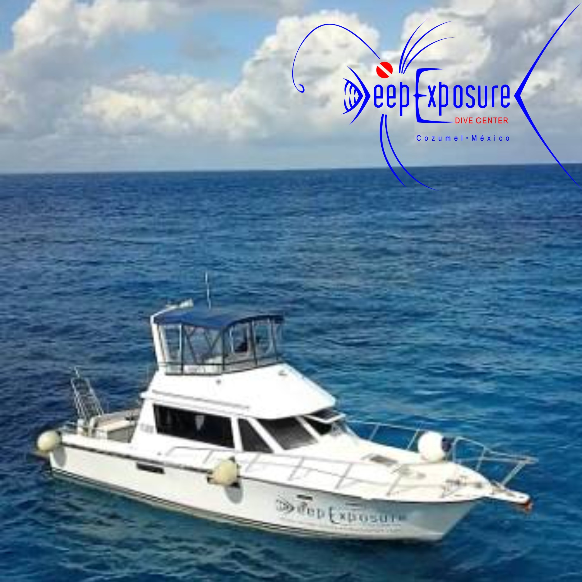 Deep Exposure Dive Center | San Miguel de Cozumel