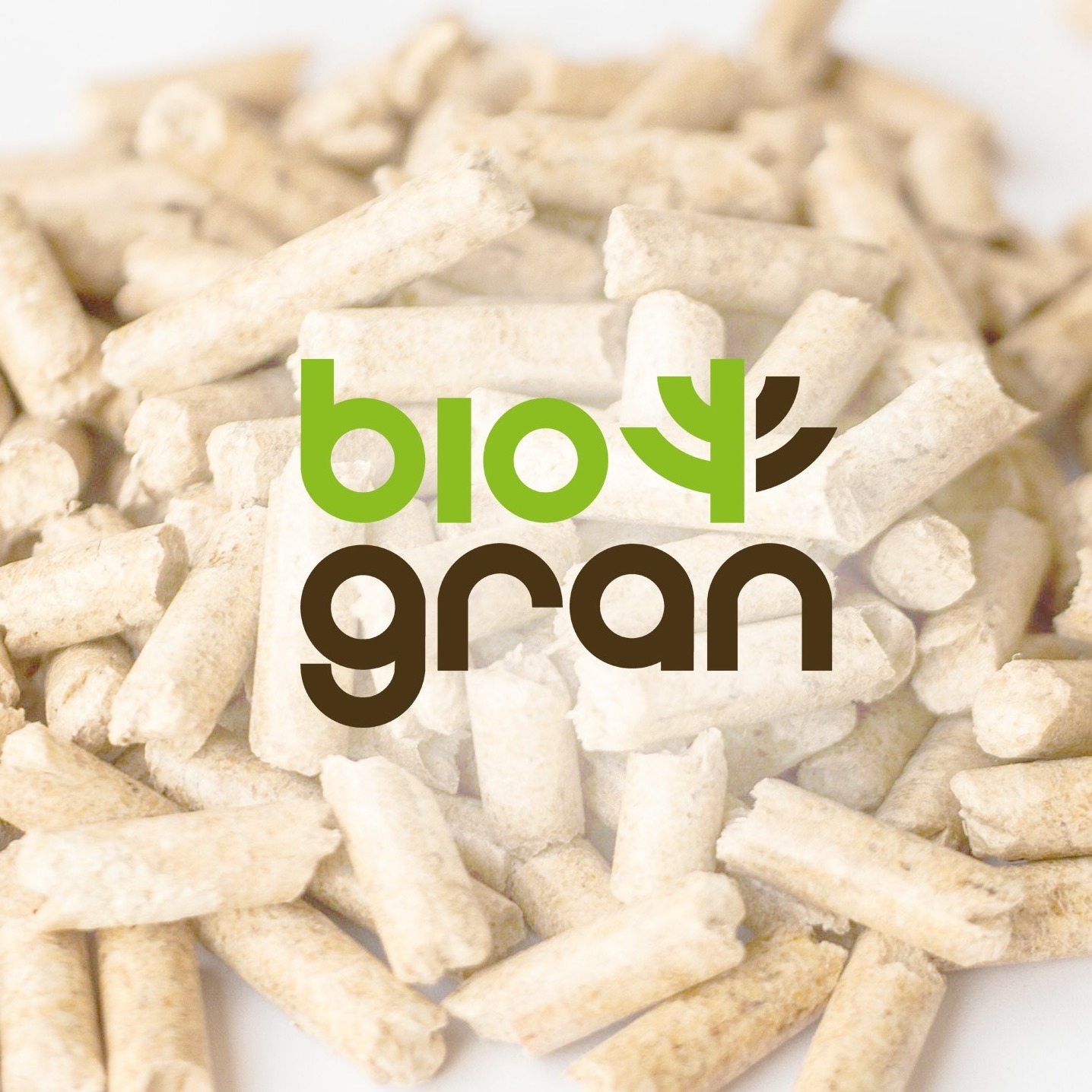 Biogran Granulas | Adazi