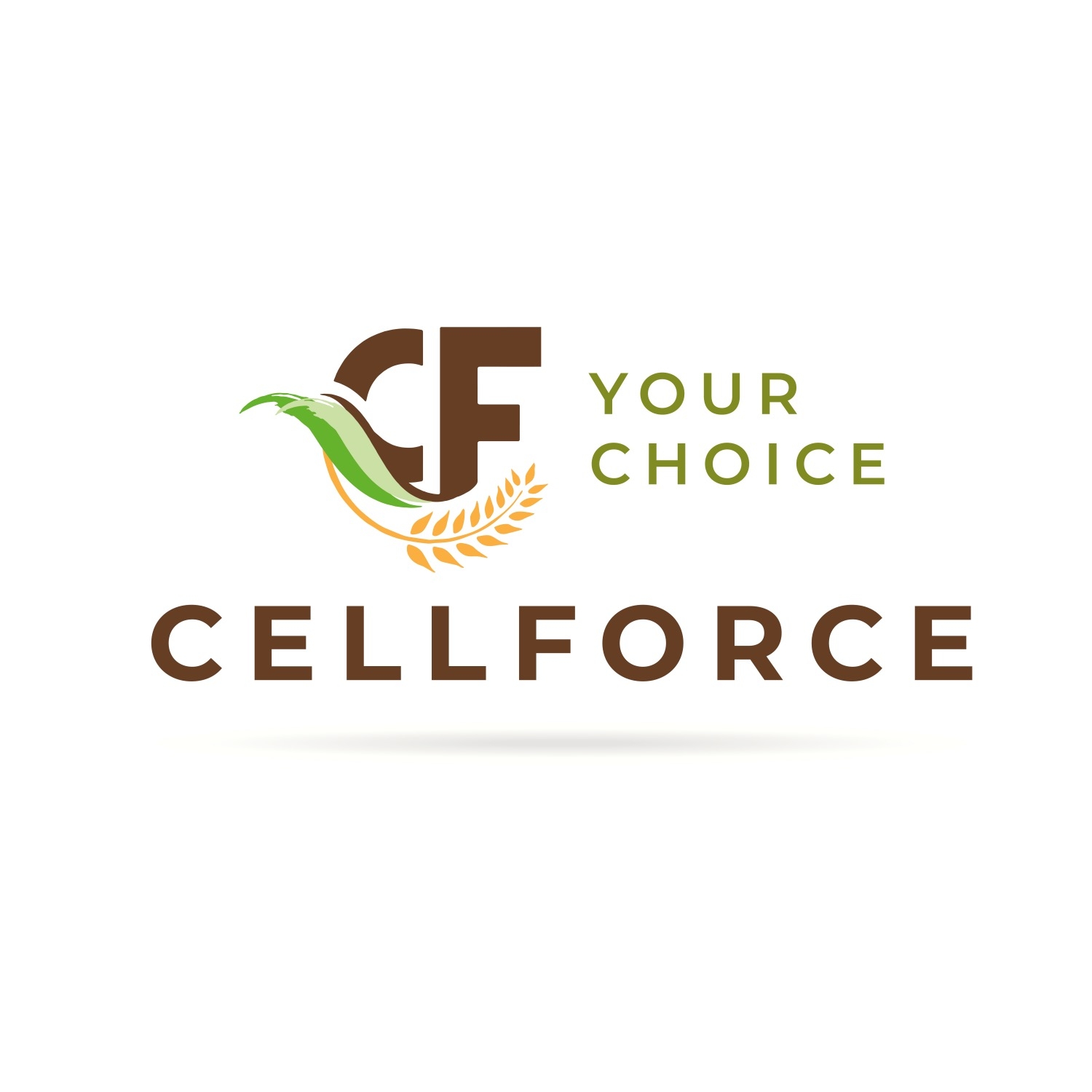 Cellforce Hrvatska | Karlovac