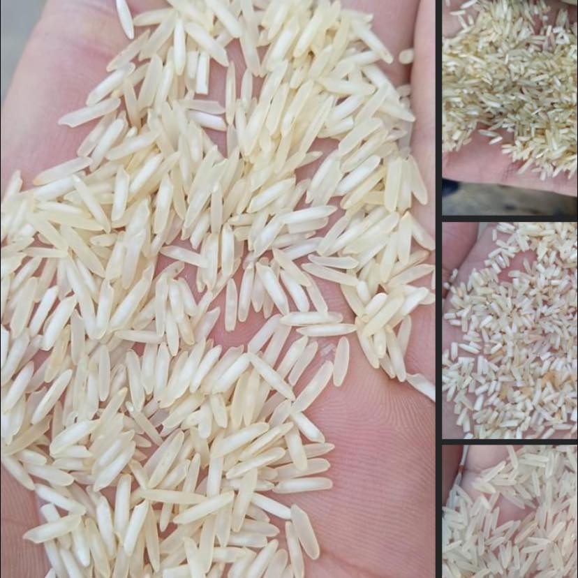 Sunny Rice Traders
