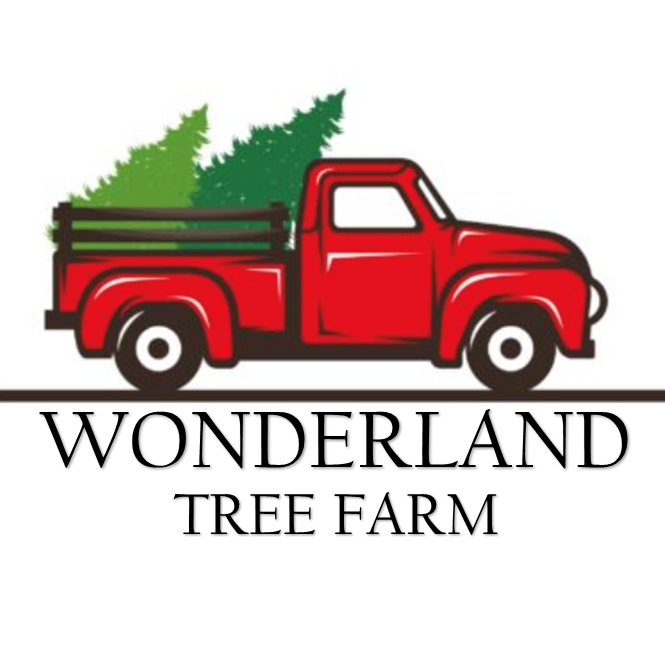 Wonderland Christmas Tree Farm | Pea Ridge AR