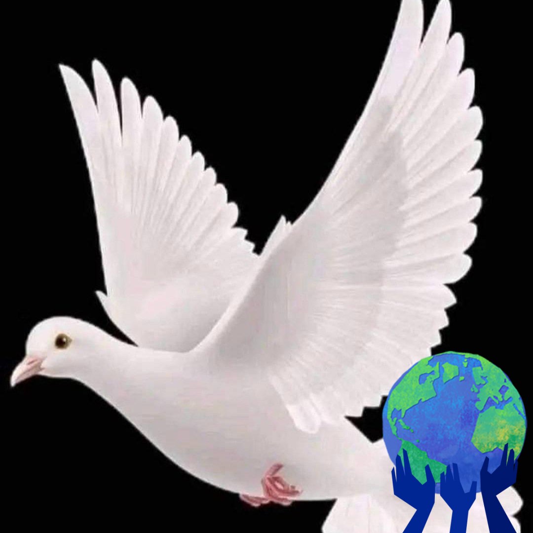 ሆ ሸገር