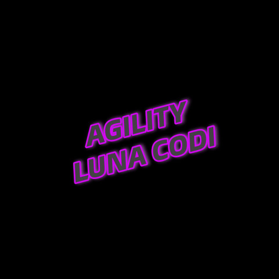 Equipo Agility LUNA CODI