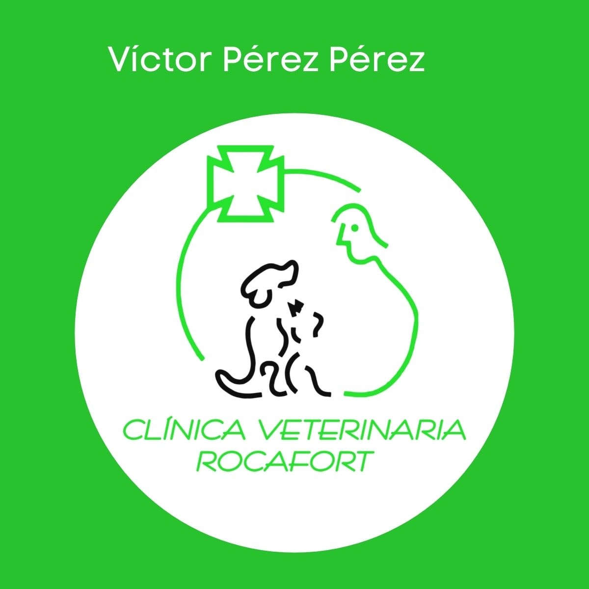 Clínica Veterinaria Rocafort. Víctor Pérez | Valencia