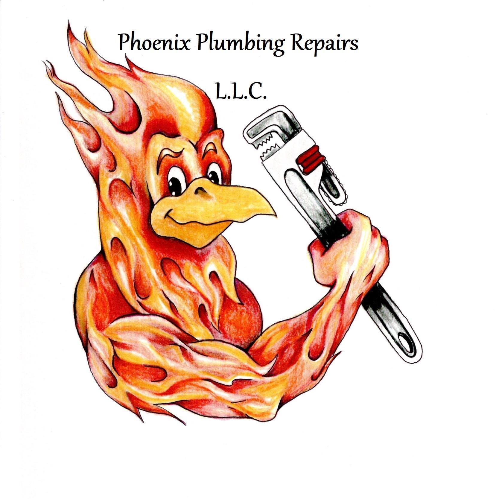 Phoenix Plumbing Repairs | Covington LA