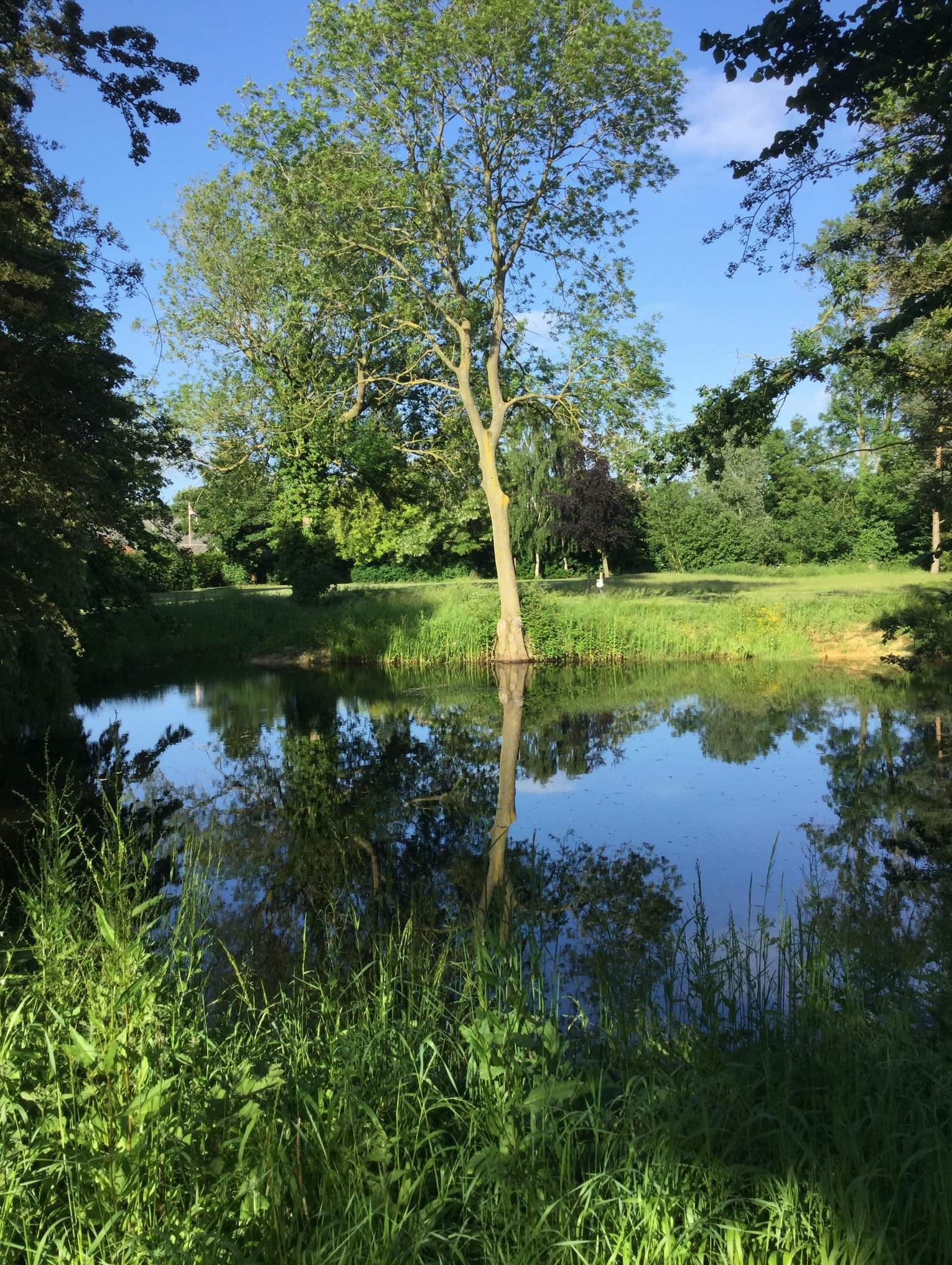 NSH Developments Ltd | Diss