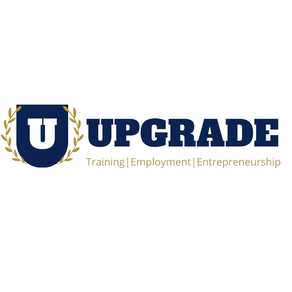Upgrade - Training Employment Entrepreneurship | Kabul