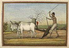Sir Chhotu Ram Volunteer Corps