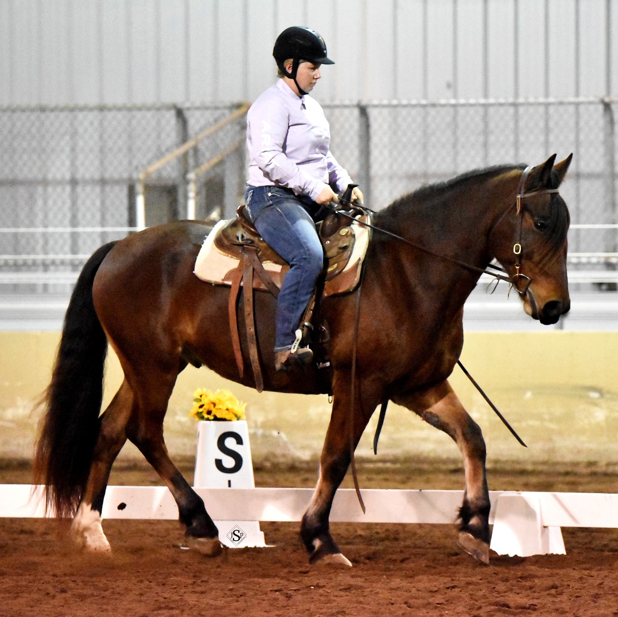 KC Riding Lessons and training