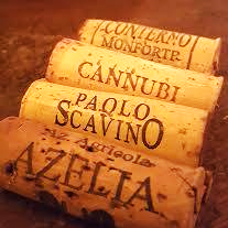 Taste of Life Tours | Barolo