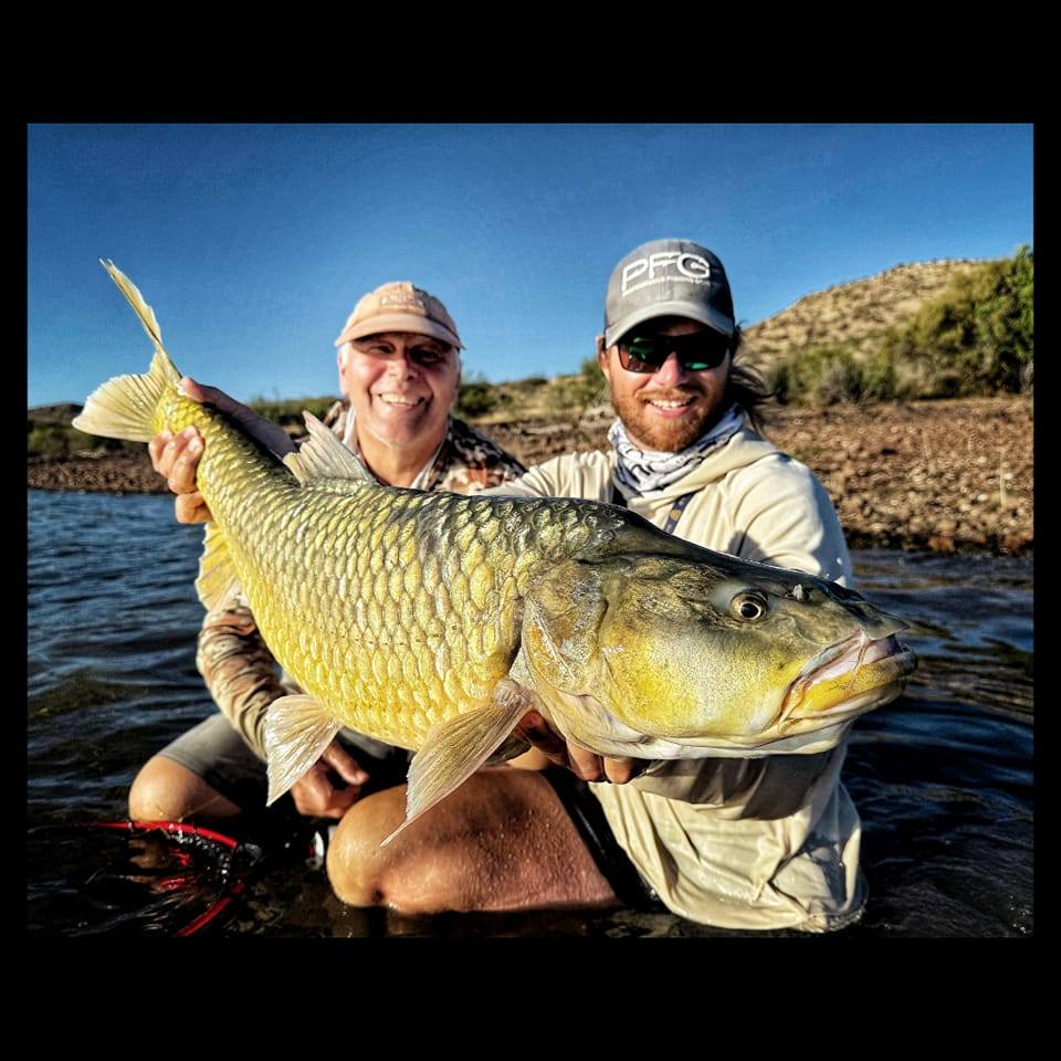 Yellowfish