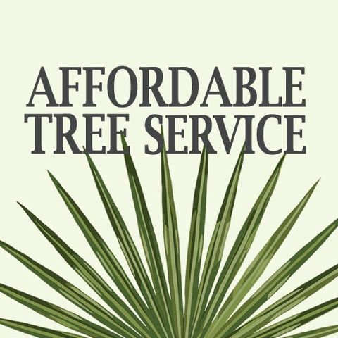 Affordable Tree Service Inc. - Tree Service Miami Dade & Broward ...