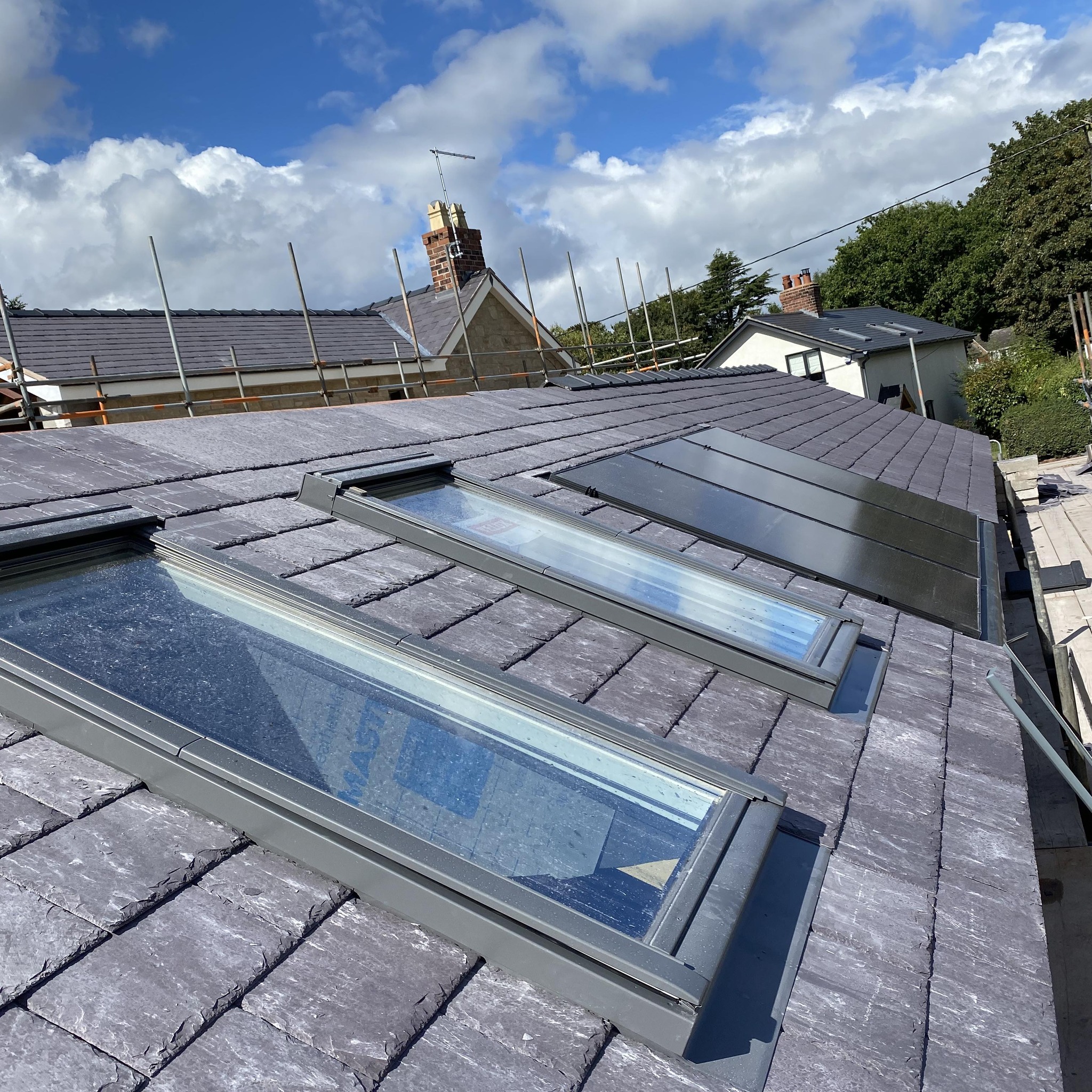 Dennis Healy Roofing | Mold